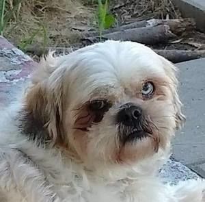 Meet your Posher, Jacqueline